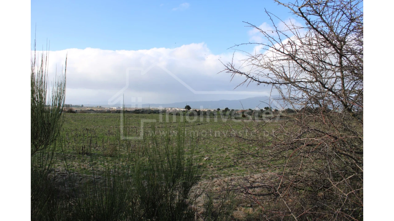 Terreno Agricola ou Rústico para Venda em Lardosa Foto 6