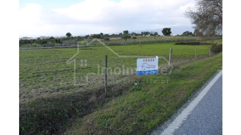Terreno Agricola ou Rústico para Venda em Lardosa