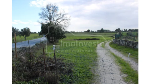 Terreno Agricola ou Rústico para Venda em Lardosa