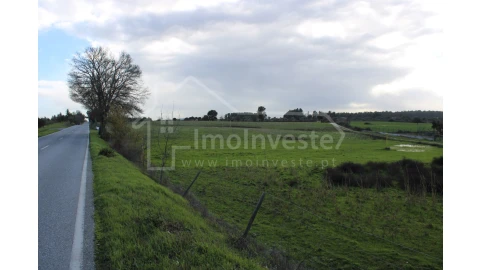 Terreno Agricola ou Rústico para Venda em Lardosa