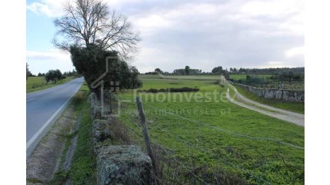 Terreno Agricola ou Rústico para Venda em Lardosa
