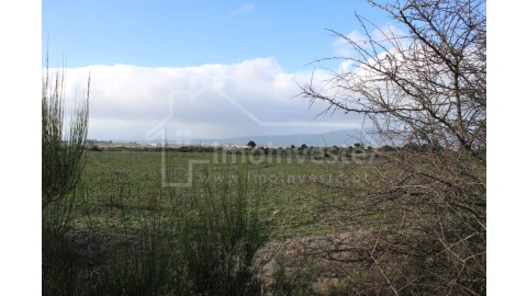 Terreno Agricola ou Rústico para Venda em Lardosa