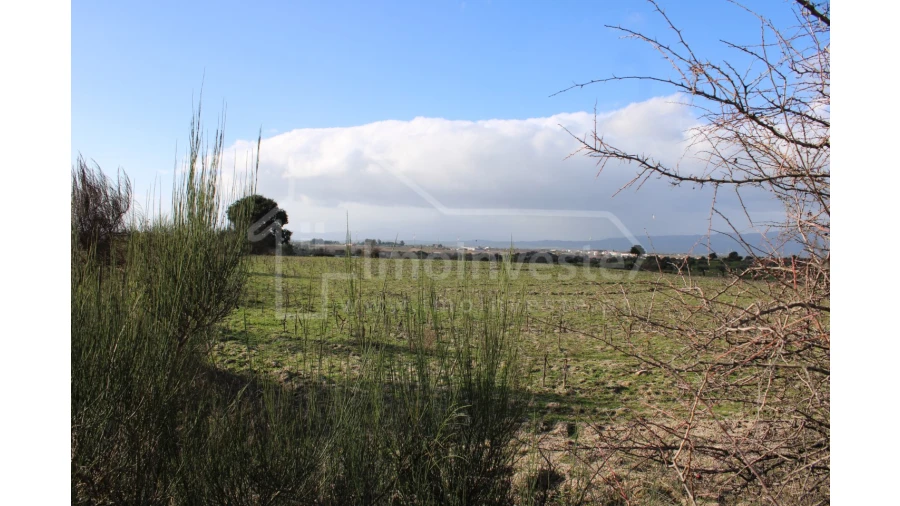 Terreno Agricola ou Rústico para Venda em Lardosa Foto 5
