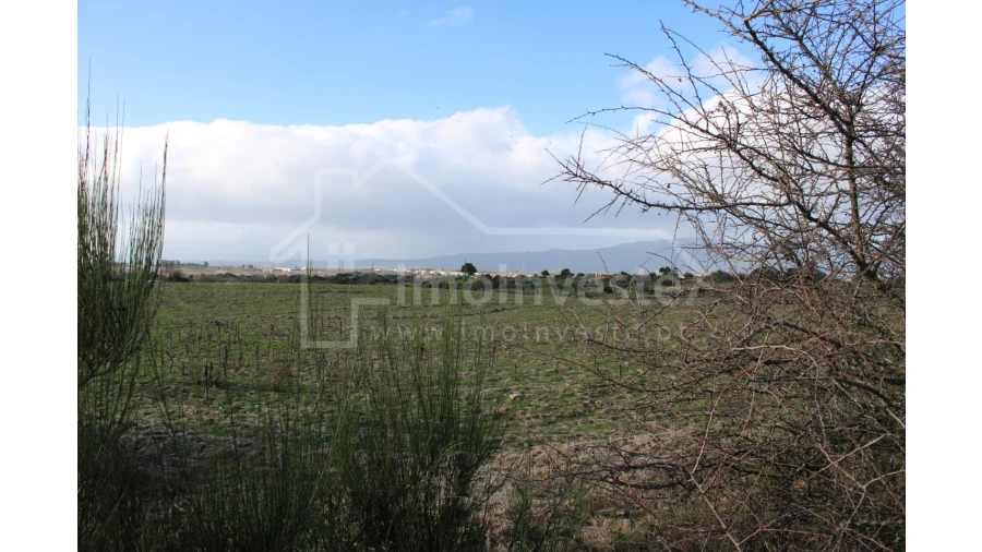 Terreno Agricola ou Rústico para Venda em Lardosa Foto 6