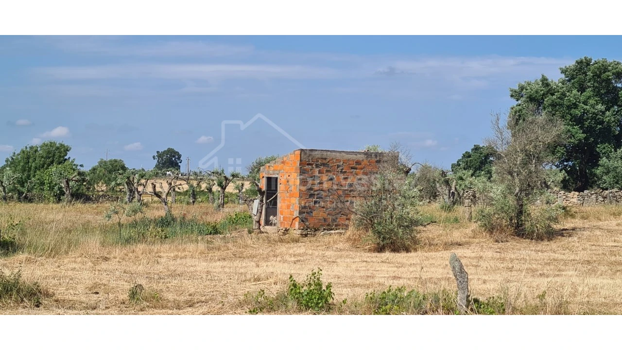 Terreno Agricola ou Rústico para Venda em Alcains Foto 6
