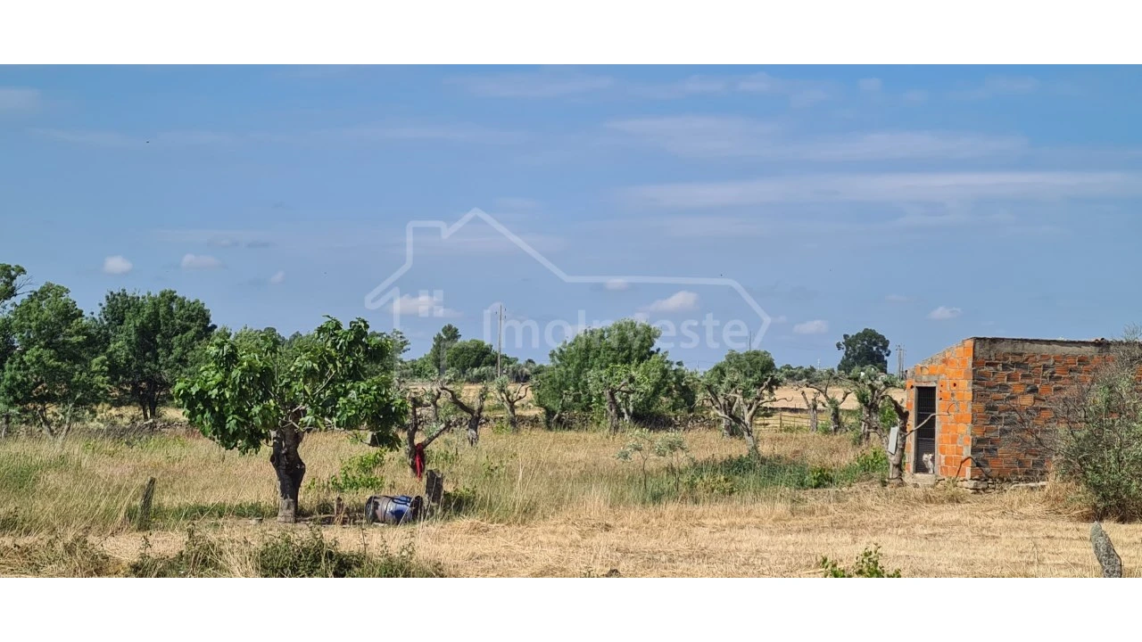 Terreno Agricola ou Rústico para Venda em Alcains Foto 7
