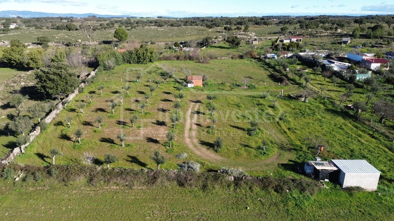 Terreno Agricola ou Rústico para Venda em Alcains Foto 2