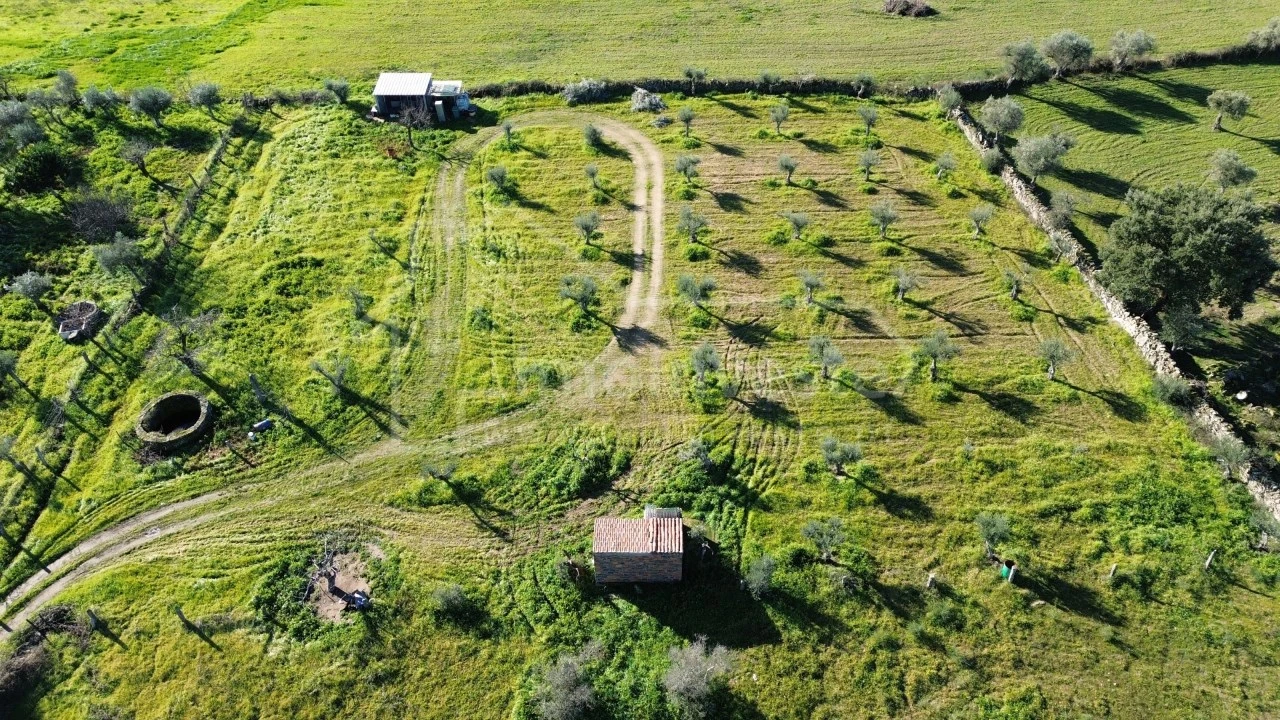 Terreno Agricola ou Rústico para Venda em Alcains Foto 1