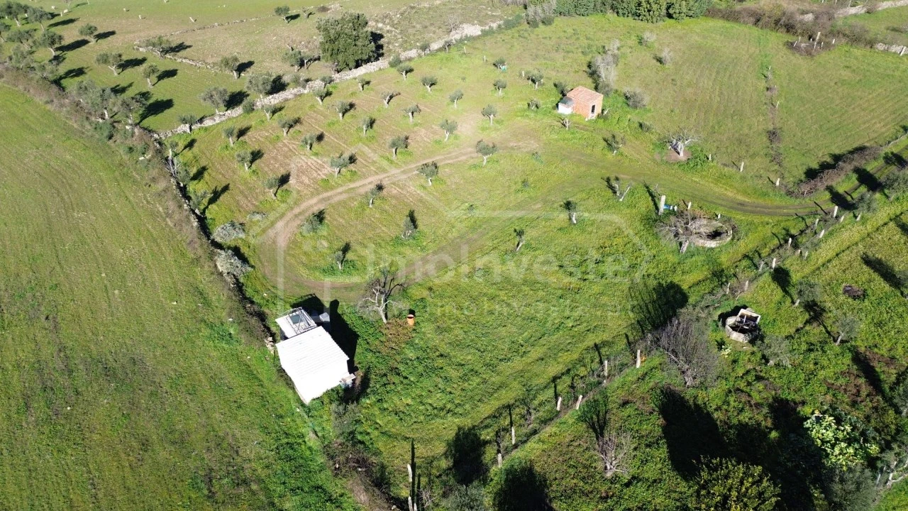 Terreno Agricola ou Rústico para Venda em Alcains Foto 4