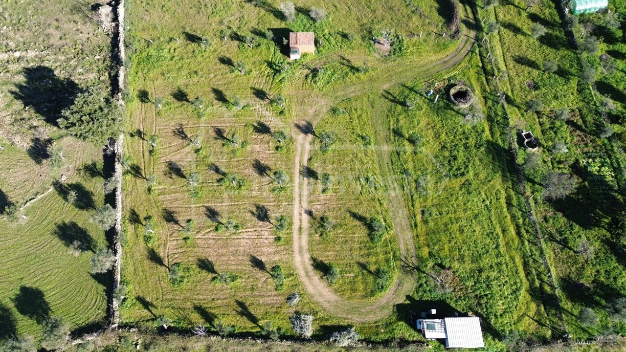 Terreno Agricola ou Rústico para Venda em Alcains Foto 3