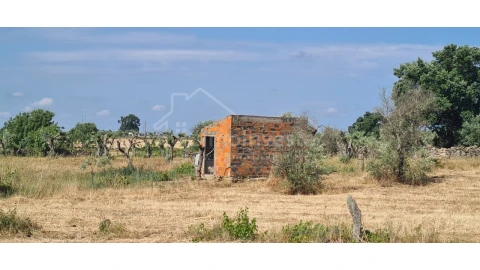 Terreno Agricola ou Rústico para Venda em Alcains