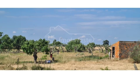 Terreno Agricola ou Rústico para Venda em Alcains