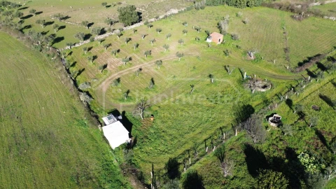Terreno Agricola ou Rústico para Venda em Alcains