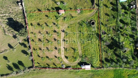 Terreno Agricola ou Rústico para Venda em Alcains