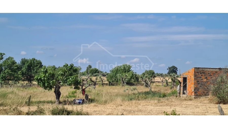Terreno Agricola ou Rústico para Venda em Alcains Foto 7