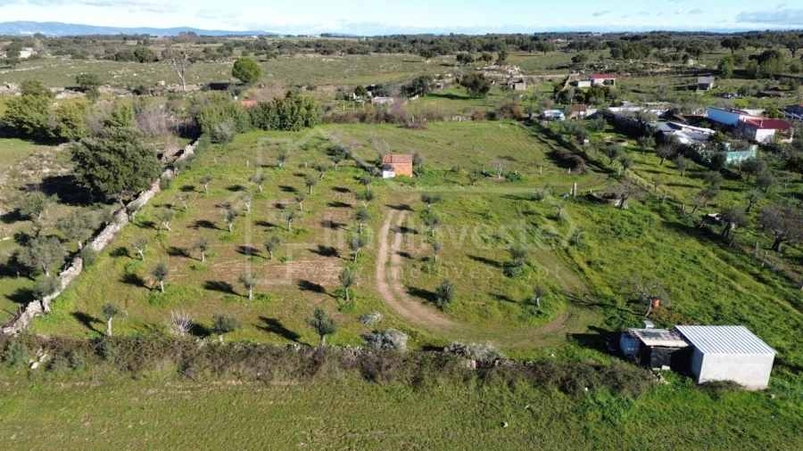 Terreno Agricola ou Rústico para Venda em Alcains Foto 2