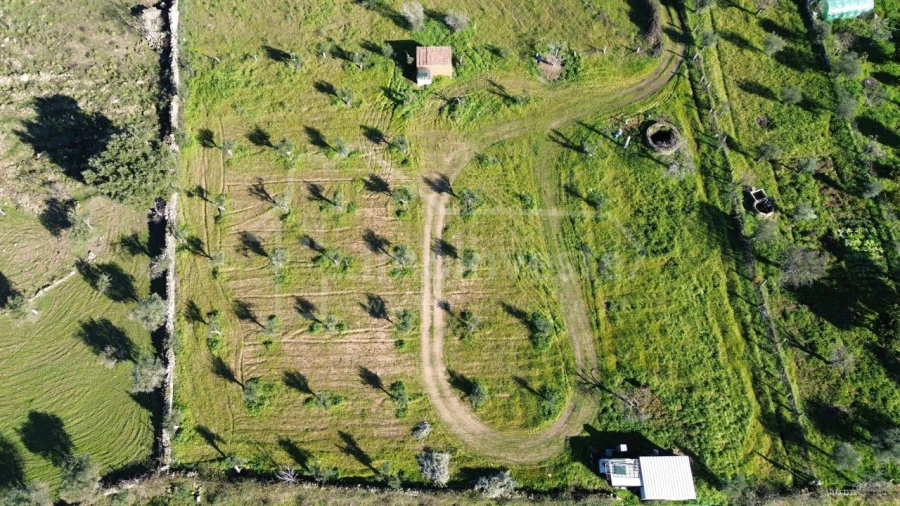 Terreno Agricola ou Rústico para Venda em Alcains Foto 3