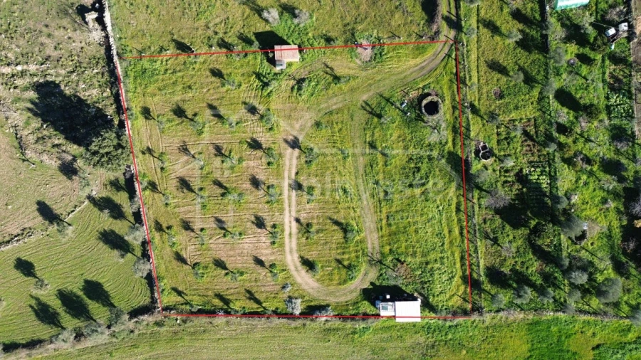 Terreno Agricola ou Rústico para Venda em Alcains Foto 5