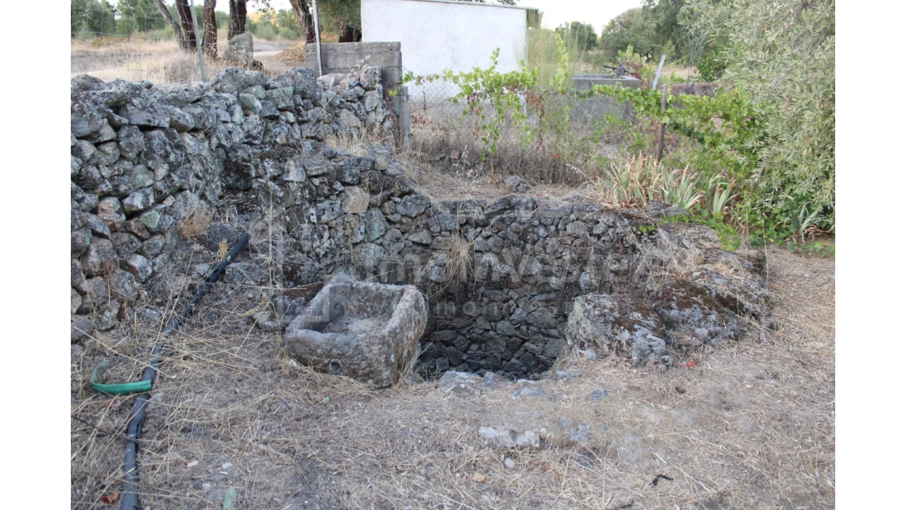 Terreno Agricola ou Rústico para Venda em Póvoa de Rio de Moinhos e Cafede Foto 2