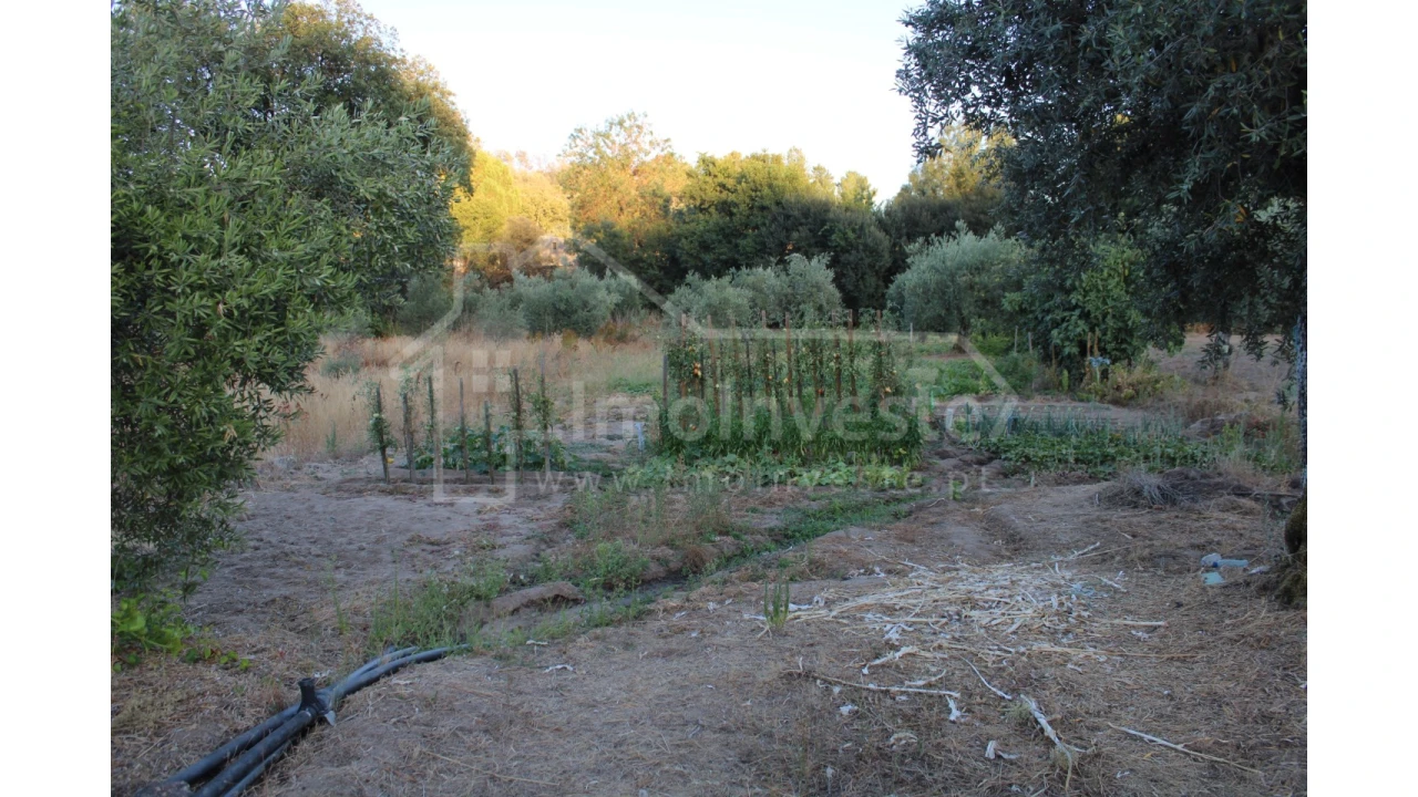 Terreno Agricola ou Rústico para Venda em Póvoa de Rio de Moinhos e Cafede Foto 4