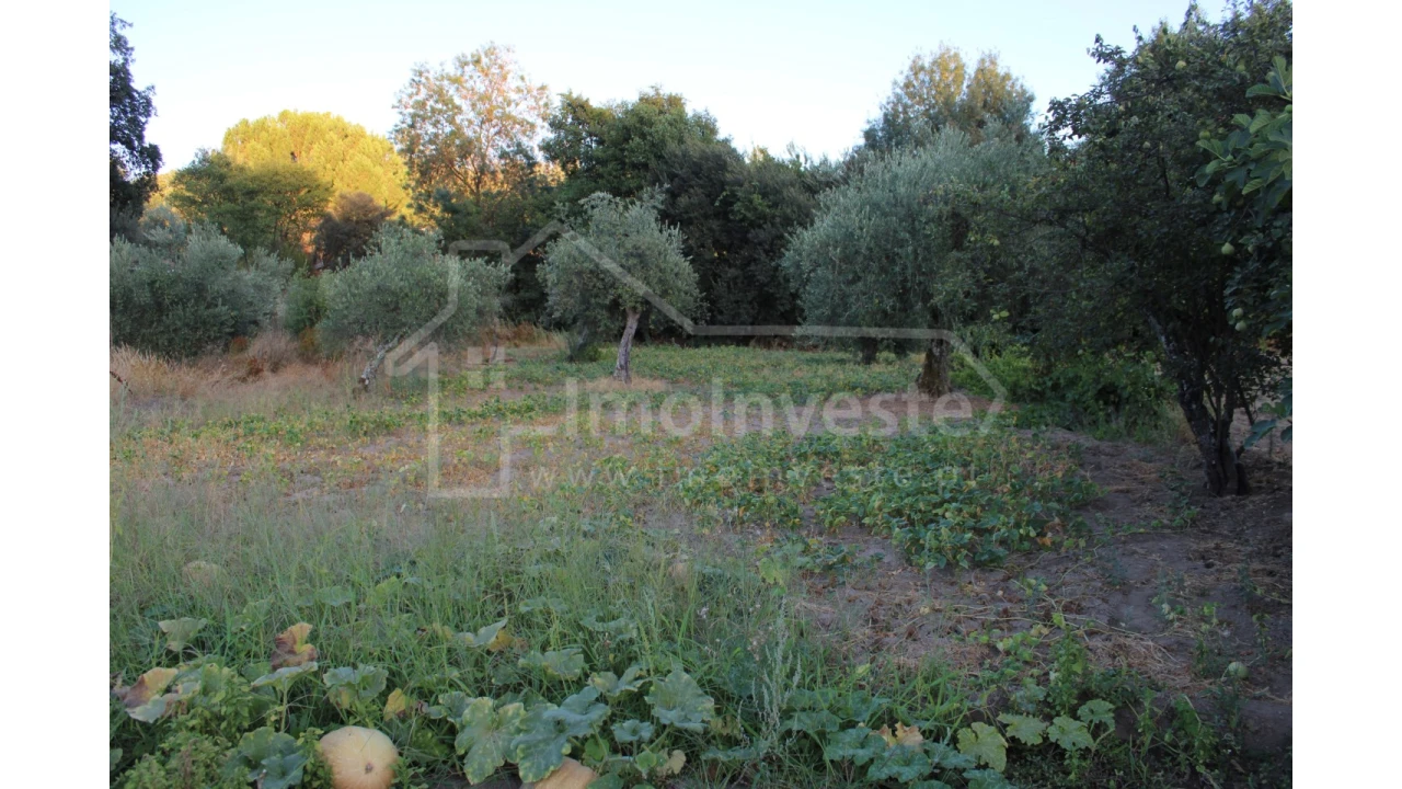 Terreno Agricola ou Rústico para Venda em Póvoa de Rio de Moinhos e Cafede Foto 5