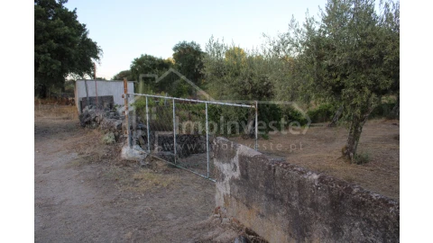 Terreno Agricola ou Rústico para Venda em Póvoa de Rio de Moinhos e Cafede