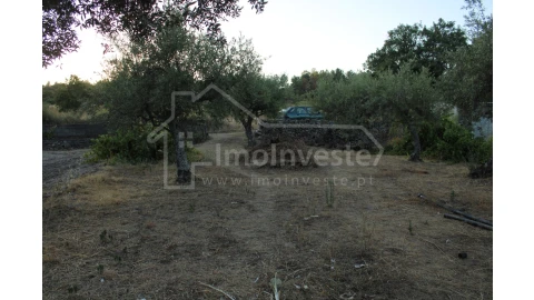 Terreno Agricola ou Rústico para Venda em Póvoa de Rio de Moinhos e Cafede