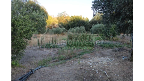 Terreno Agricola ou Rústico para Venda em Póvoa de Rio de Moinhos e Cafede
