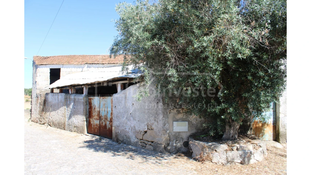 Moradia T3 para Venda em Escalos de Cima e Lousa Foto 3