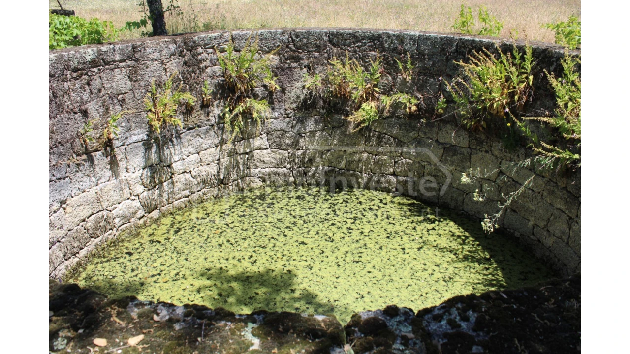 Terreno Agricola ou Rústico para Venda em Monsanto e Idanha-A-Velha Foto 9