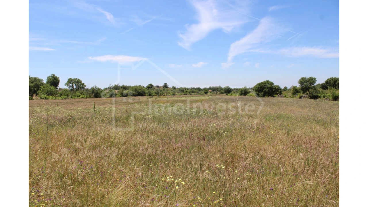 Terreno Agricola ou Rústico para Venda em Monsanto e Idanha-A-Velha Foto 4