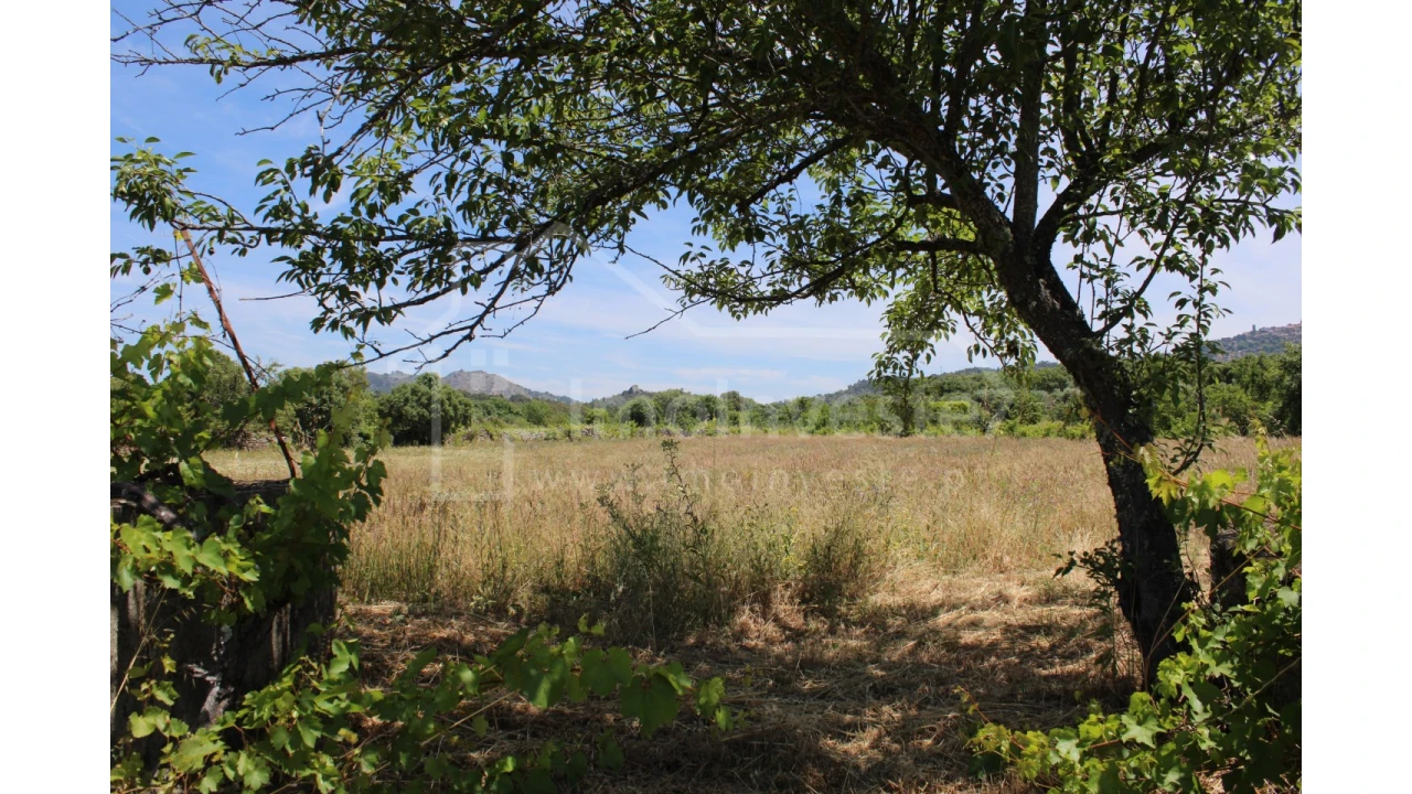 Terreno Agricola ou Rústico para Venda em Monsanto e Idanha-A-Velha Foto 5