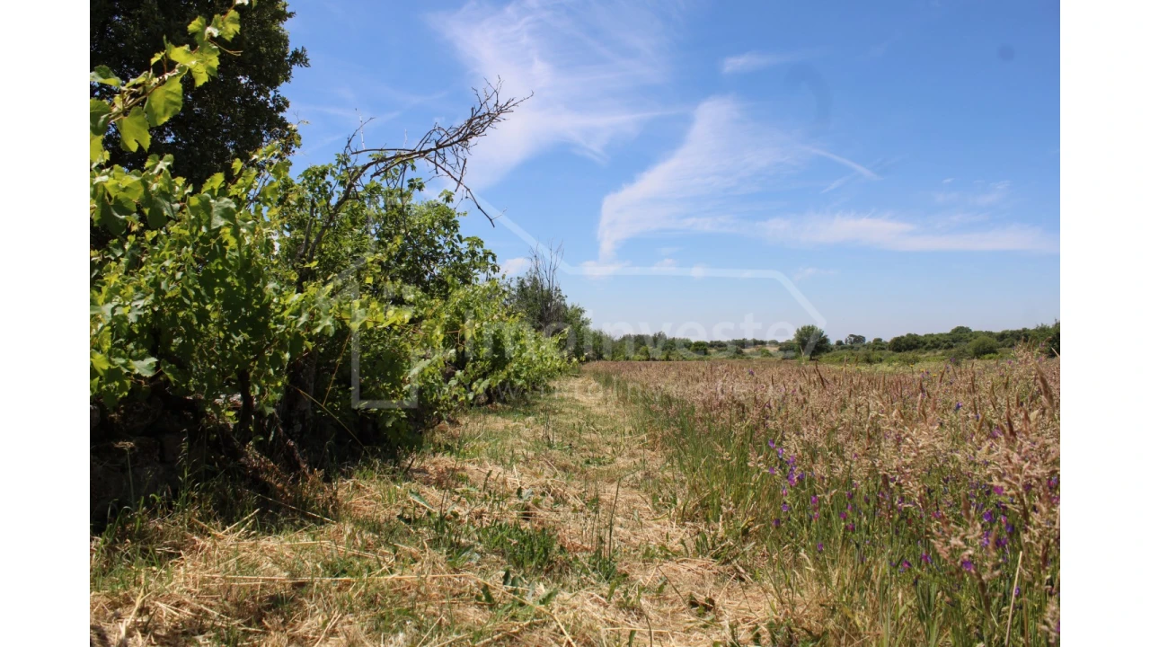 Terreno Agricola ou Rústico para Venda em Monsanto e Idanha-A-Velha Foto 7