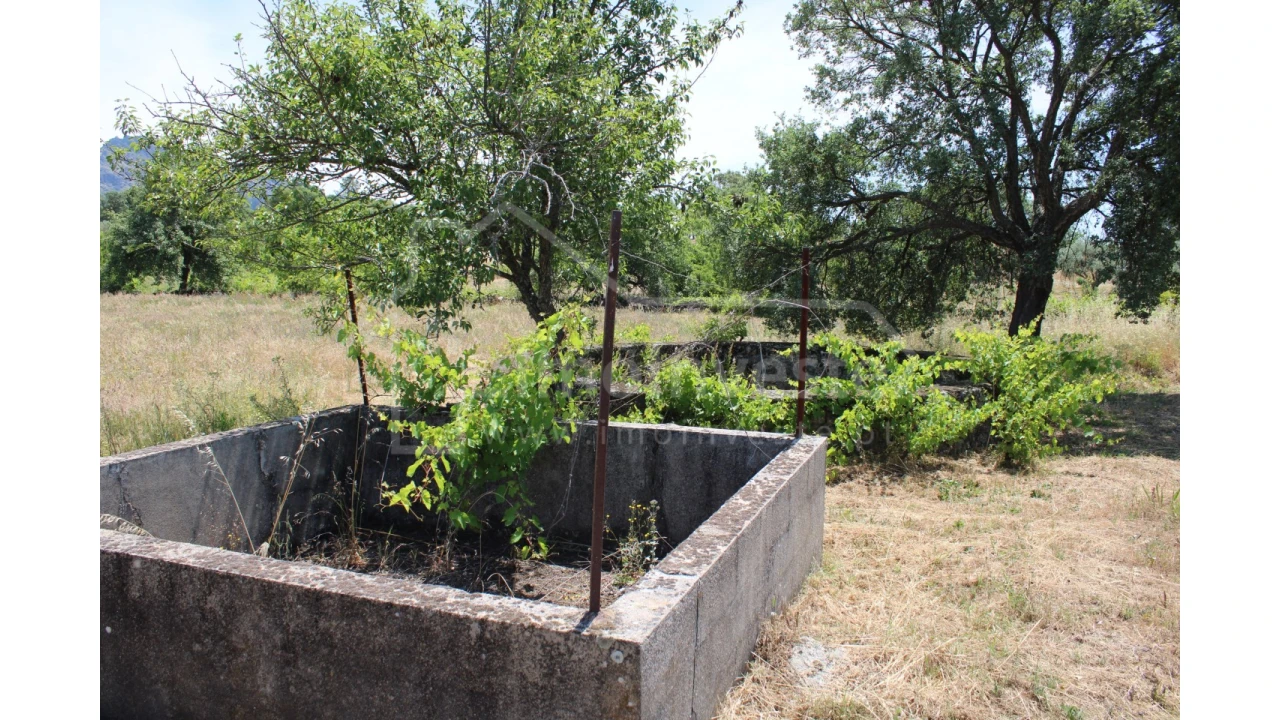 Terreno Agricola ou Rústico para Venda em Monsanto e Idanha-A-Velha Foto 8