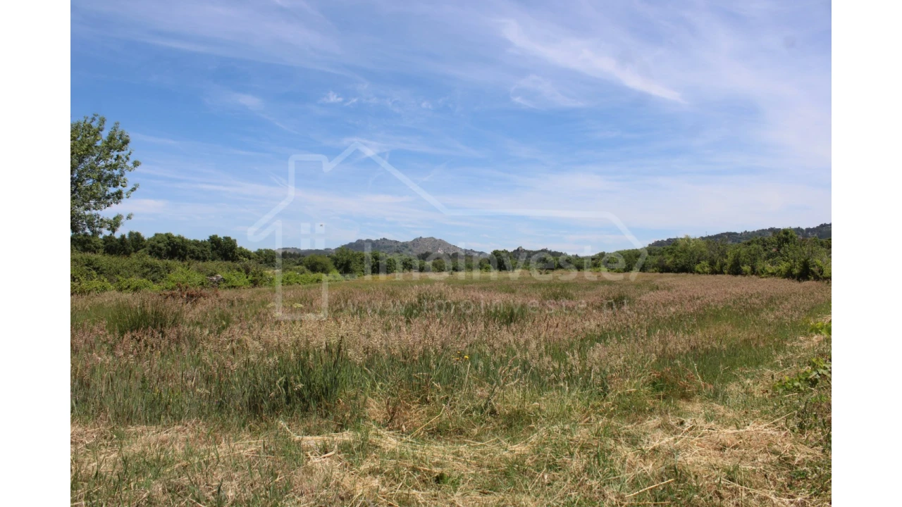 Terreno Agricola ou Rústico para Venda em Monsanto e Idanha-A-Velha Foto 10