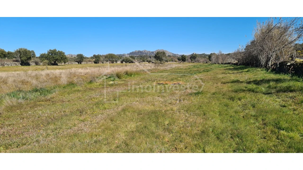 Terreno Agricola ou Rústico para Venda em Monsanto e Idanha-A-Velha Foto 14