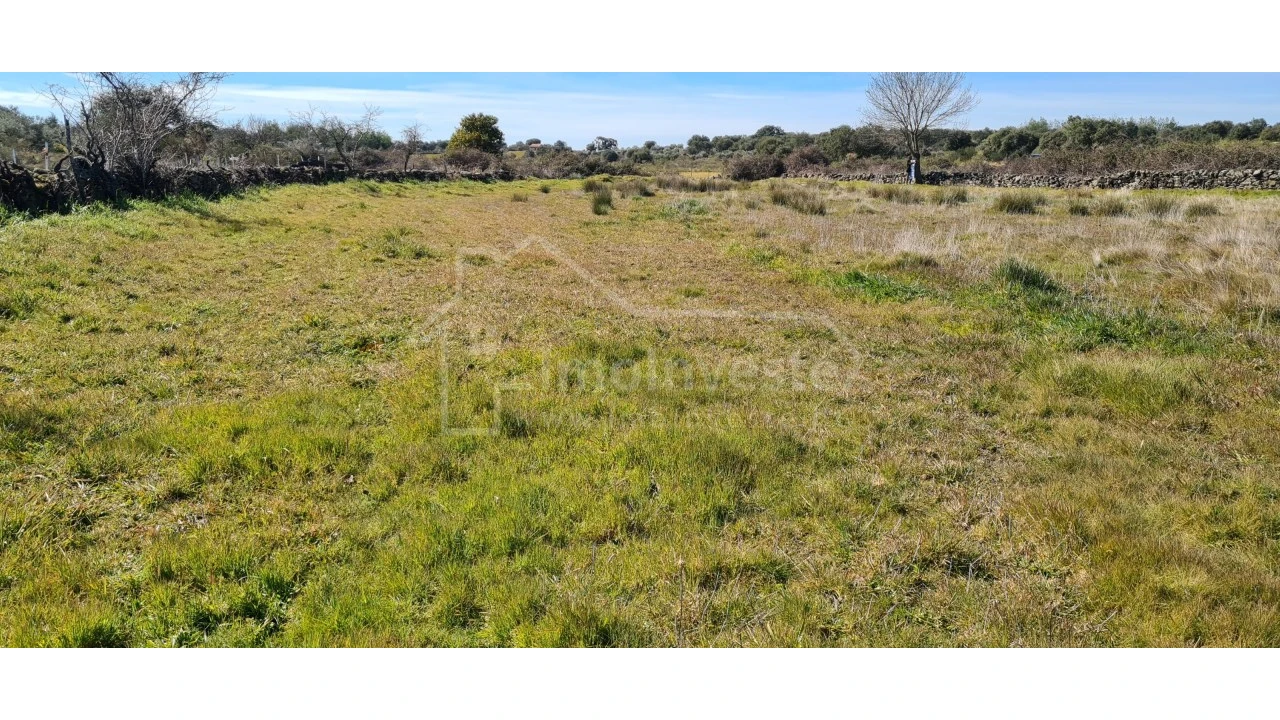 Terreno Agricola ou Rústico para Venda em Monsanto e Idanha-A-Velha Foto 15