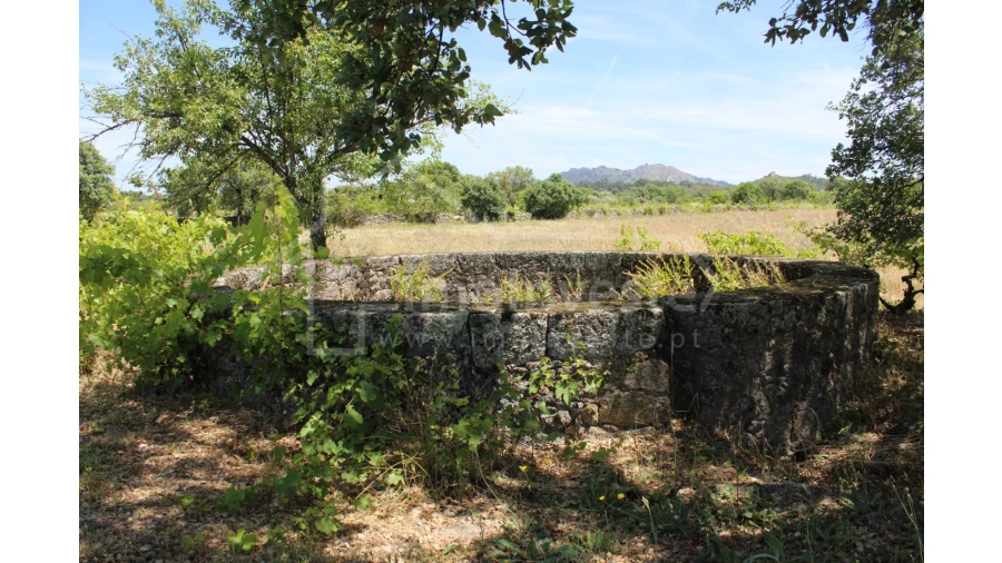 Terreno Agricola ou Rústico para Venda em Monsanto e Idanha-A-Velha Foto 3