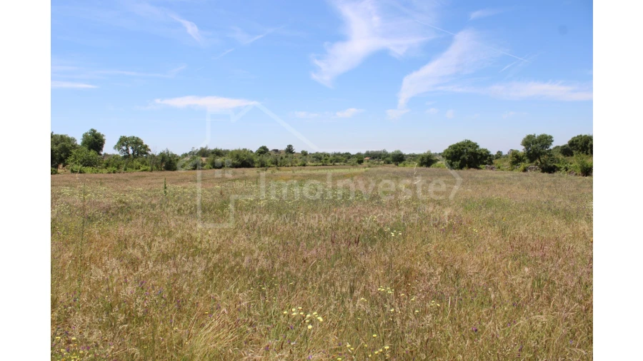 Terreno Agricola ou Rústico para Venda em Monsanto e Idanha-A-Velha Foto 4