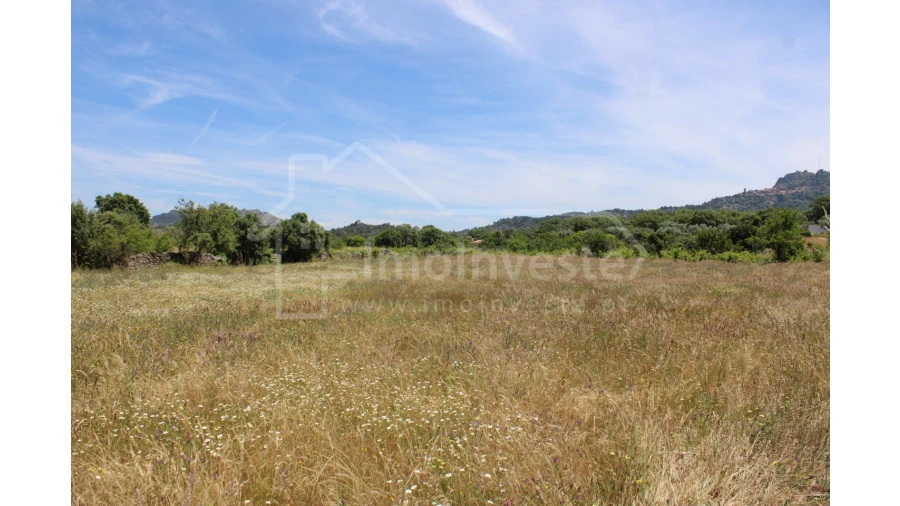 Terreno Agricola ou Rústico para Venda em Monsanto e Idanha-A-Velha Foto 6