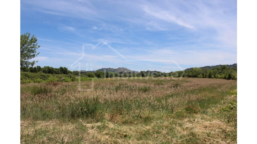 Terreno Agricola ou Rústico para Venda em Monsanto e Idanha-A-Velha Foto 10