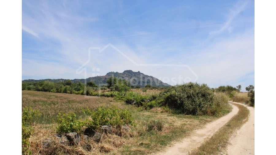 Terreno Agricola ou Rústico para Venda em Monsanto e Idanha-A-Velha Foto 11