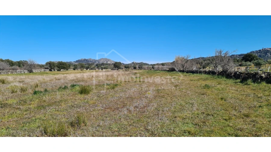 Terreno Agricola ou Rústico para Venda em Monsanto e Idanha-A-Velha Foto 13
