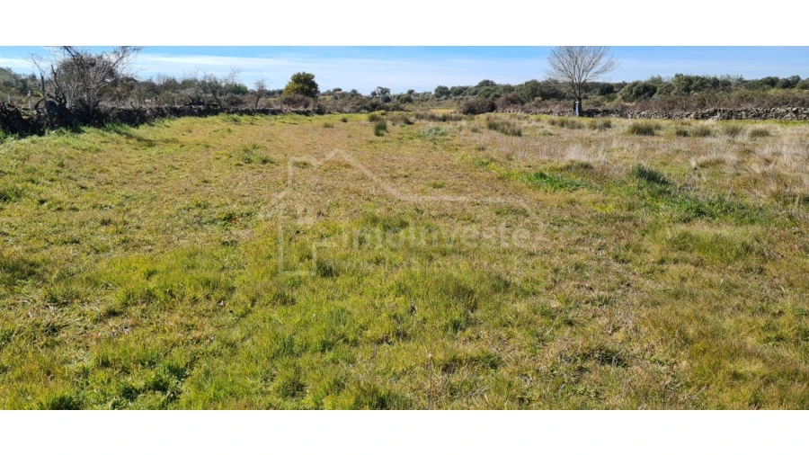 Terreno Agricola ou Rústico para Venda em Monsanto e Idanha-A-Velha Foto 15