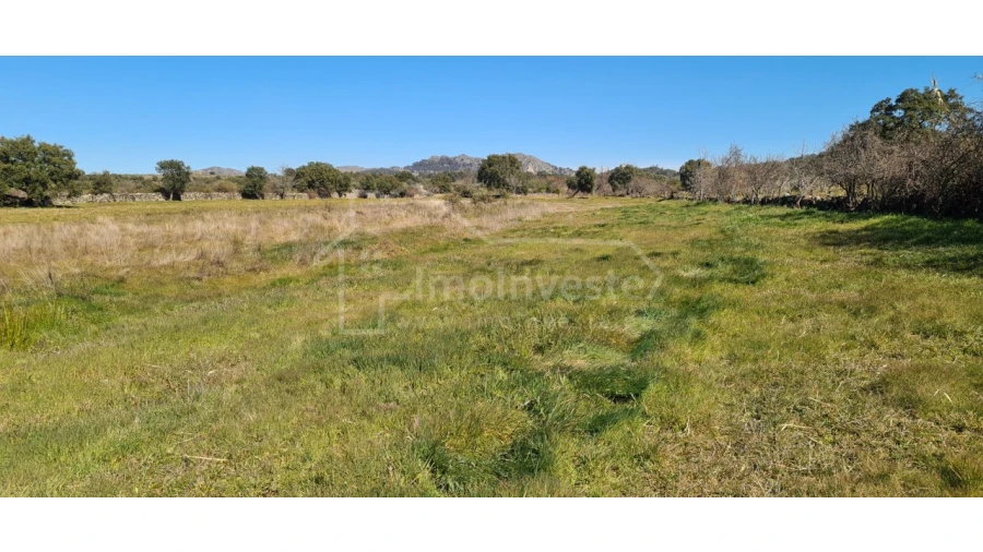 Terreno Agricola ou Rústico para Venda em Monsanto e Idanha-A-Velha Foto 16