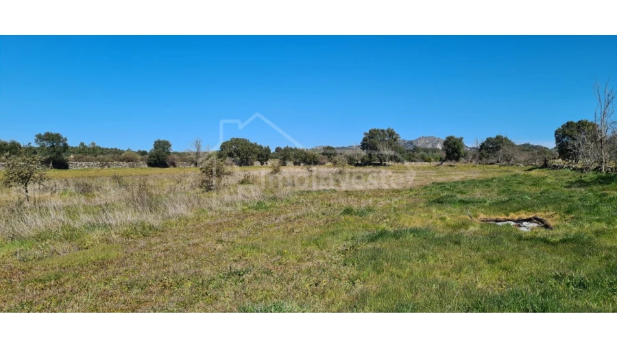 Terreno Agricola ou Rústico para Venda em Monsanto e Idanha-A-Velha Foto 18