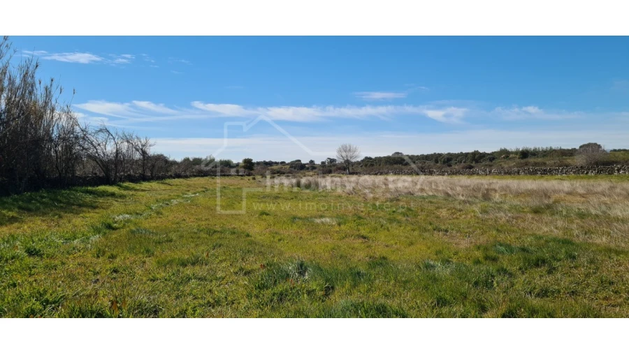 Terreno Agricola ou Rústico para Venda em Monsanto e Idanha-A-Velha Foto 19