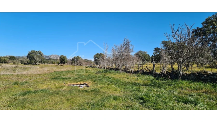 Terreno Agricola ou Rústico para Venda em Monsanto e Idanha-A-Velha Foto 20
