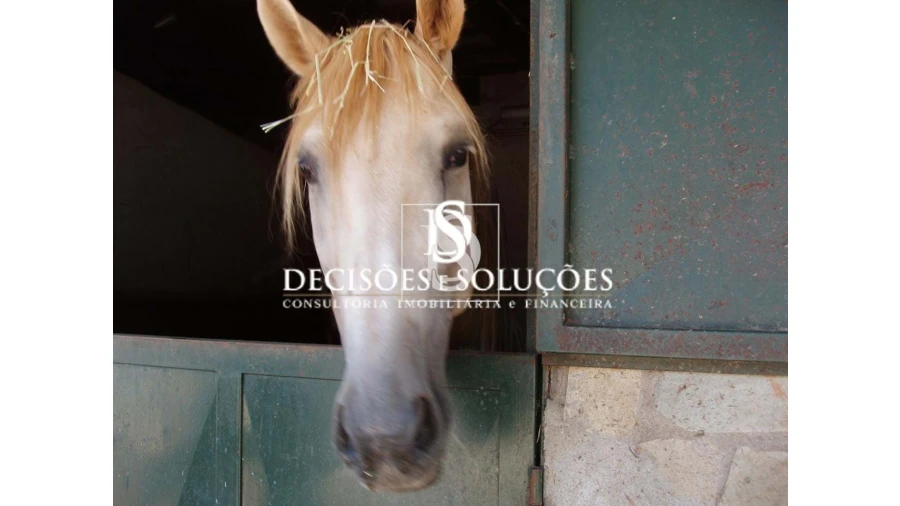 Quinta para Venda em Sé, Santa Maria e Meixedo Foto 41