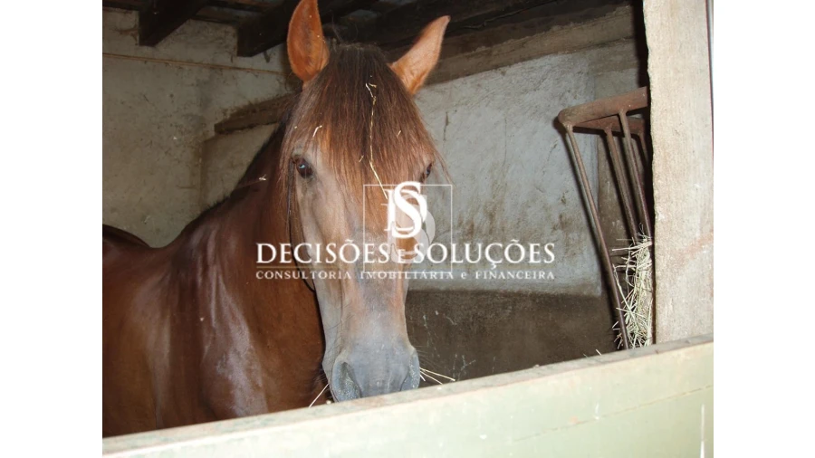 Quinta para Venda em Sé, Santa Maria e Meixedo Foto 42